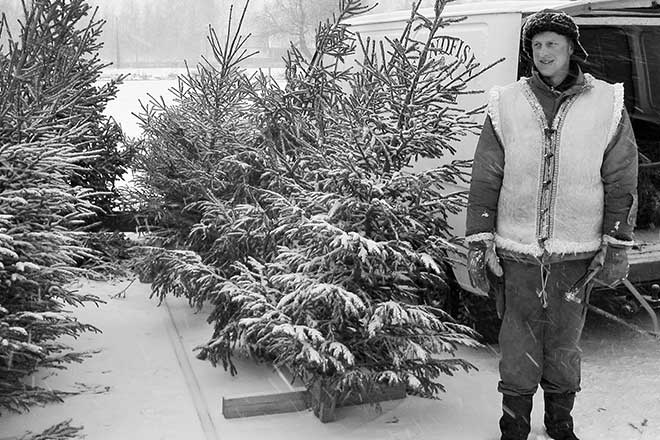 Mikael Sundbäck säljer julgranar - myy joulukuusia